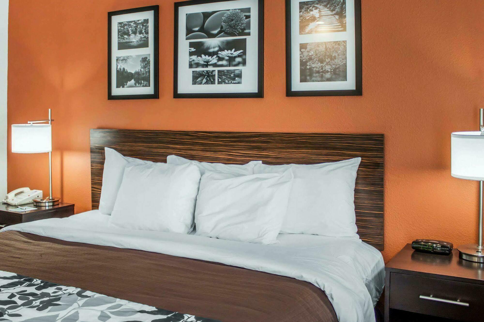 Sleep Inn North Charleston Ashley Phosphate Экстерьер фото
